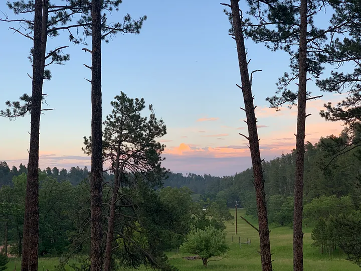 A blue to pink sky sunset in Custer State Park